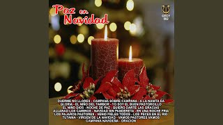 Navidad Sin Pandereta [upl. by Nyleak]