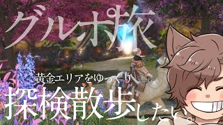 【FF14】拡張された新エリアを改めてゆっくりじっくり探検してみようの夜【ネタバレ注意】 [upl. by Irmina]