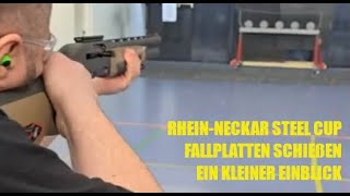 Rhein Neckar Steel Cup  Pokalschießen BDS Fallplatten typhoondefense  Ein kleiner Einblick [upl. by Stephannie591]