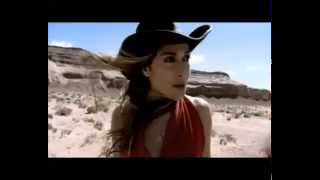 Anna Vissi  Alitissa Psixi Official Video [upl. by Ydnim]