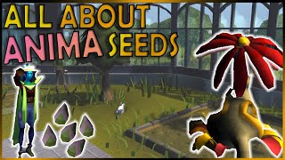 Explaining Special Seeds At The Anima Allotment In OSRS [upl. by Haida]