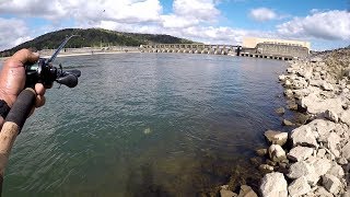 Dam Fishing With A Rooster Tail [upl. by Nerua468]