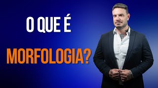 ✅ O que é MORFOLOGIA ✅ [upl. by Meagher]