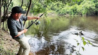 Je pêche un Poisson ULTRA DANGEREUX et Très Rare   Cyril Chauquet [upl. by Hamann]