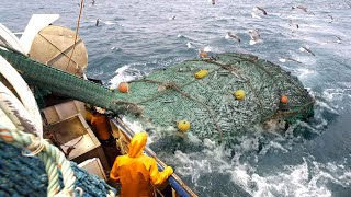 Life On Largest Midwater trawling Vessel  Fishing trip on trawler the High Sea 03 [upl. by Liris]