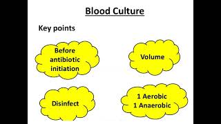 Bloodstream infections I bacteremia and septicemia I Clinical microbiology [upl. by Nirehs469]