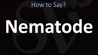 How to Pronounce Nematode CORRECTLY [upl. by Hcurab]