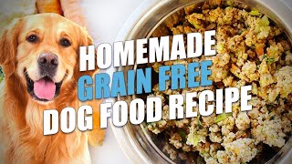 The Ultimate Guide to Dog FoodTypes Nutritionamp Feeding Tips [upl. by Alaehcim]