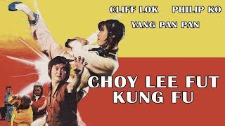 Wu Tang Collection  Choy Lee Fut Kung Fu [upl. by Swithbart481]