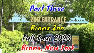 Bronx Zoo Full Tour  Bronx New York  Part Three [upl. by Sinnoda]