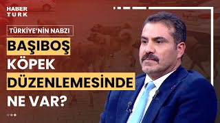 quotSahipsiz Köpek Yasasıquot nasıl olacak Av Serkan Toper yanıtladı [upl. by Yarehs]