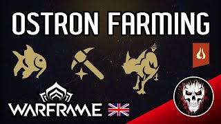 Best Ostron standing farm  Warframe Guides [upl. by Aklam]