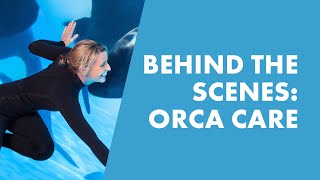 Go Behind The Scenes With SeaWorld Trainers And Learn How We Care For Orcas [upl. by Eiramyelhsa824]