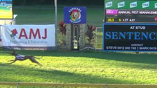 Capalaba21072024Race11 [upl. by Drhacir579]