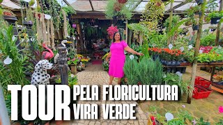 TOUR PELA FLORICULTURA VIRA VERDE FLORICULTURA EM GURIRIES  FLORES FOLHAGENS E MUITAS PLANTAS [upl. by Mathias]