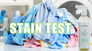 Will This Natural Stain Remover Work on Laundry Stains [upl. by Anaujnas]