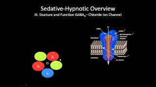 The GABA receptor  How does it work [upl. by Nahij]