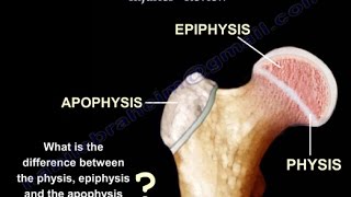 Growth Plate Injuries  CHILDREN FRACTURES Everything You Need To Know  Dr Nabil Ebraheim [upl. by Gussman343]