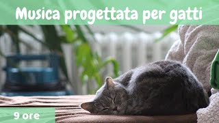 22  Musica progettata per gatti 🐱Musica Rilassante Per Gatti per calmarsi il dormire animali \ [upl. by Anita706]