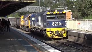 PN freight trains in NSW Southern Highlands October 4 2019 [upl. by Eseneg916]