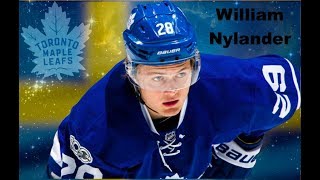 William Nylander 29 quotThe Next Generationquot NHL amp Sweden Highlights [upl. by Alya]