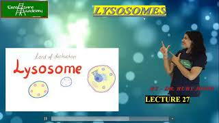 Lysosomes Lecture27 Cell Biology Protein hydrolases [upl. by Rapsac848]