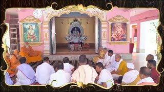 A Glance of the Dolotsav at Puri Sri Sri Nigamananda Saraswat Ashram [upl. by Htebzile]