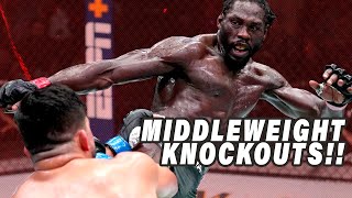 Top 5 Middleweight UFC Fighter Knockouts amp Submissions [upl. by Hailee137]