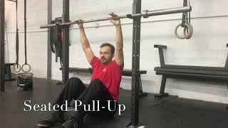 Seated PullUp [upl. by Yup789]