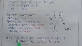 Phenylpropanoids and Flavonoids  Tea leaves in pharmacognosy  caffeine in tea  uses of tea [upl. by Darnell]