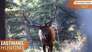 Giant Bull Up Close Bow Hunting Elk in 4K [upl. by Inoek46]