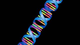 DNA Chromosomes and Genes [upl. by Emanuele]