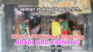 Update Stok lolohan gelatik srigunting cucak Wilisabadibirdcibinong [upl. by Theron]