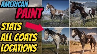 Red Dead Redemption 2 American Paint LOCATION amp ALL COATS amp STATS GOOD HORSE GUIDE [upl. by Brocklin]