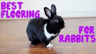 The Best Flooring For Rabbits [upl. by Odelia760]