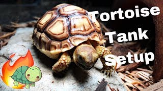 How To Set Up A Tortoise Enclosure [upl. by Riada]