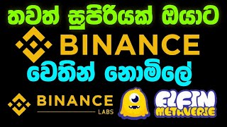 elfin airdrop sinhala elfin nft airdrop elfin games airdrop eurolanka elfinairdrop newairdrop [upl. by Nealah]