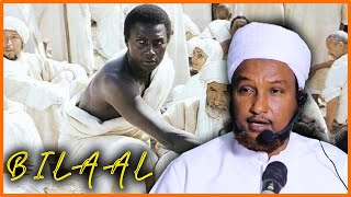 QISOOYIN CAJIIBA  Maalintii Bilal Ibn Rabah Uu Dhimanaayay  Hadalkii Cajiibka Ahaa Ee uu idhi ‼ [upl. by Yclek]