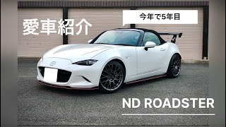 【愛車紹介】僕のNDロードスターを紹介します‼︎ ndロードスター 愛車紹介 tenten [upl. by Survance]