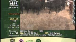 Superior Livestock Auction  425 steers sell for 301 [upl. by Atalaya289]