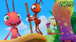 Mystery Mix  🐛 Antiks 🐜  Funny Cartoons for Kids  Moonbug [upl. by Nnav]