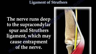 Median nerve compression Supracondylar process  Everything You Need To Know  Dr Nabil Ebraheim [upl. by Lleira]