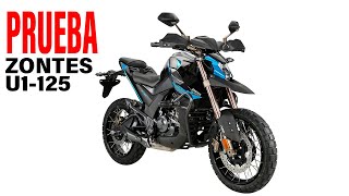 Zontes U1 125 🏍 PRUEBA de la Zontes 125 Trail [upl. by Garbe181]