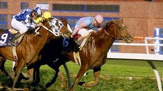 1987 Breeders Cup Classic  Ferdinand amp Alysheba  Post Race amp Interviews [upl. by Akinohs]