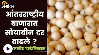 Soybean Market  देशात सोयाबीनला किती दर मिळाला   Agrowon [upl. by Caylor175]