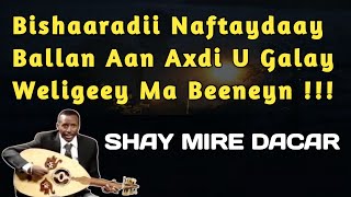 shay mire dacar bishaaradii naftaydaay lyrics  shay mire dacar bini aadam baa tahay  shay mire [upl. by Yelyk96]