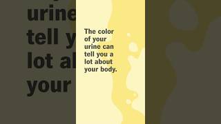 What the color of pee means [upl. by Brownson375]