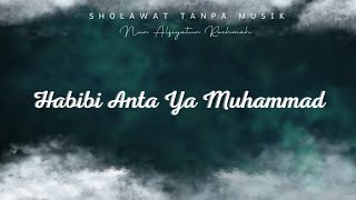 Habibi Anta Ya Muhammad 🎶  Sholawat Tanpa Musik  Nur Alfiyatur Rochmah [upl. by Calise]