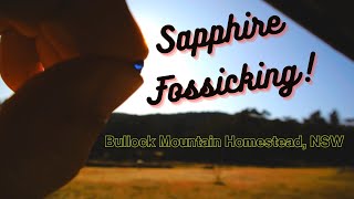 Bullock Mountain Homestead Sapphire Fossicking Travel Vlog Glen Innes NSW Australia [upl. by Nylrebma]