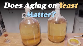 Does Aging on Dead Yeast Matter A Reflective Test for Homebrewers [upl. by Corley341]